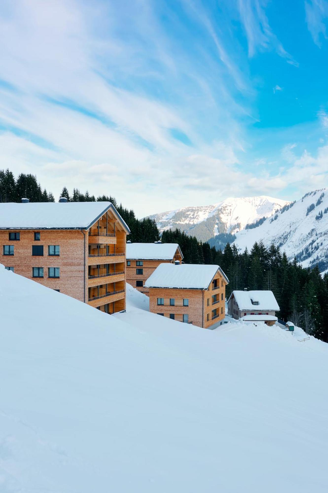 Alpenstolz Damuels Haus 1 - Stilvoll Urlauben In Den Bergen Apartment Екстериор снимка